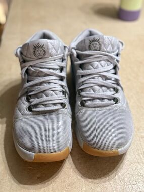 Nike Lebron Witness 8